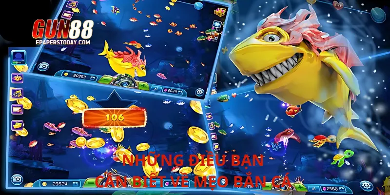 Những điều bạn cần biết về mẹo bắn cá